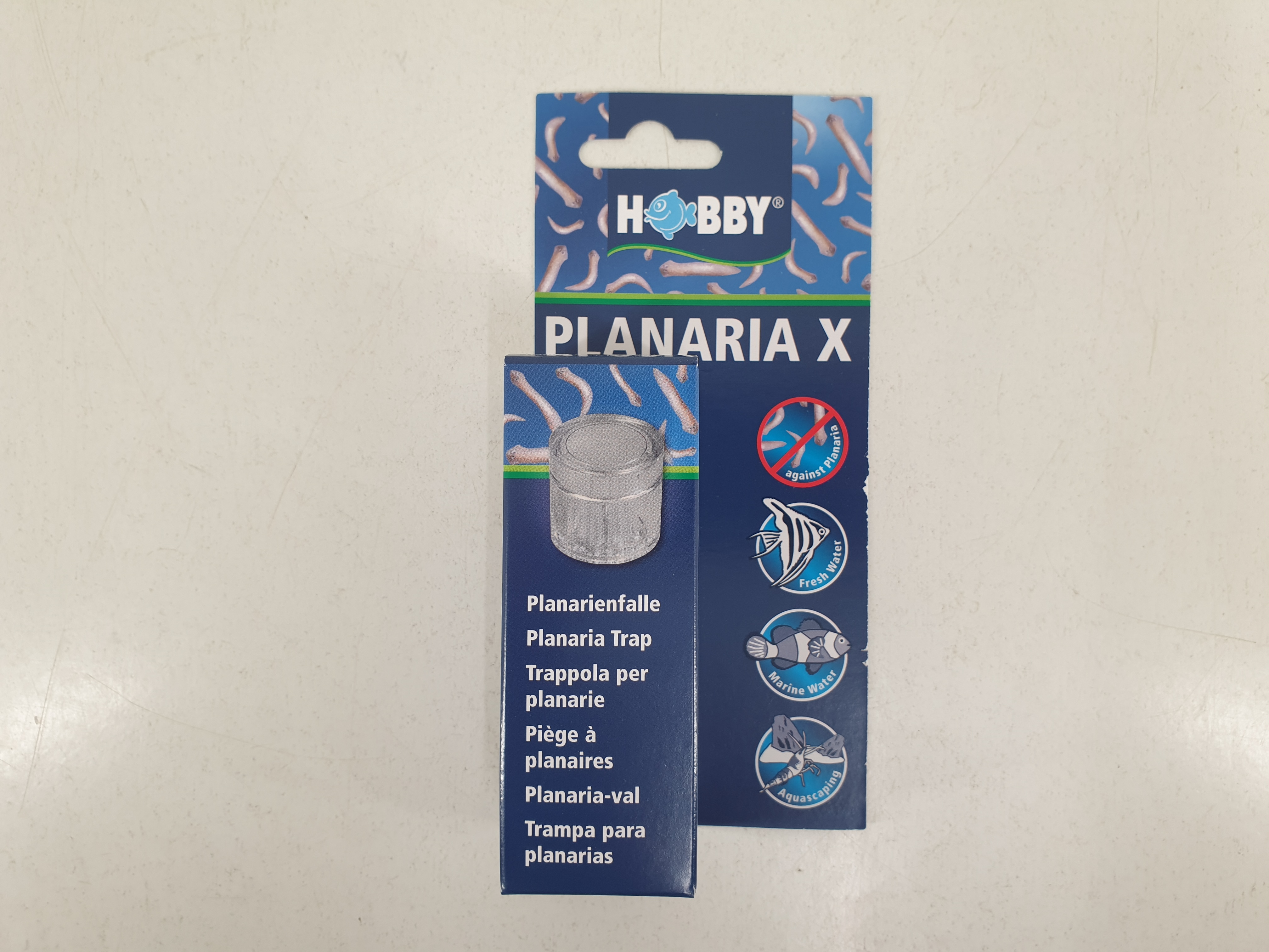 Hobby Planaria X - Planarienfalle